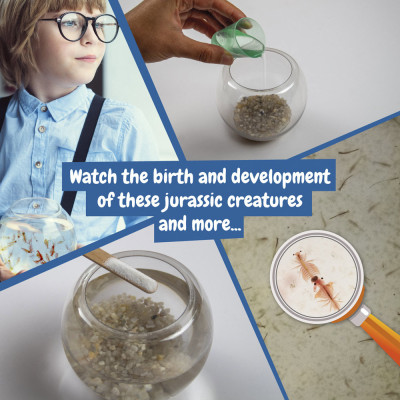 Jurassic Pets Kit I. Jogo didático para crianças